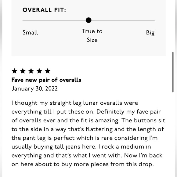 Madewell x Backdrop • Studio Hours Garment-Dyed Overalls - Picture 6 of 13